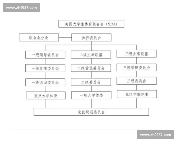 从规则结构到晋级逻辑全面理解体育赛事赛制运作与观赛策略实用指南