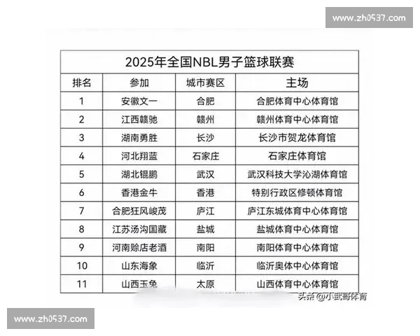 中国男子篮球职业联赛发展现状竞争格局商业化挑战与改革路径研究 中国男子篮球职业联赛发展现状竞争格局商业化挑战与改革路径研究